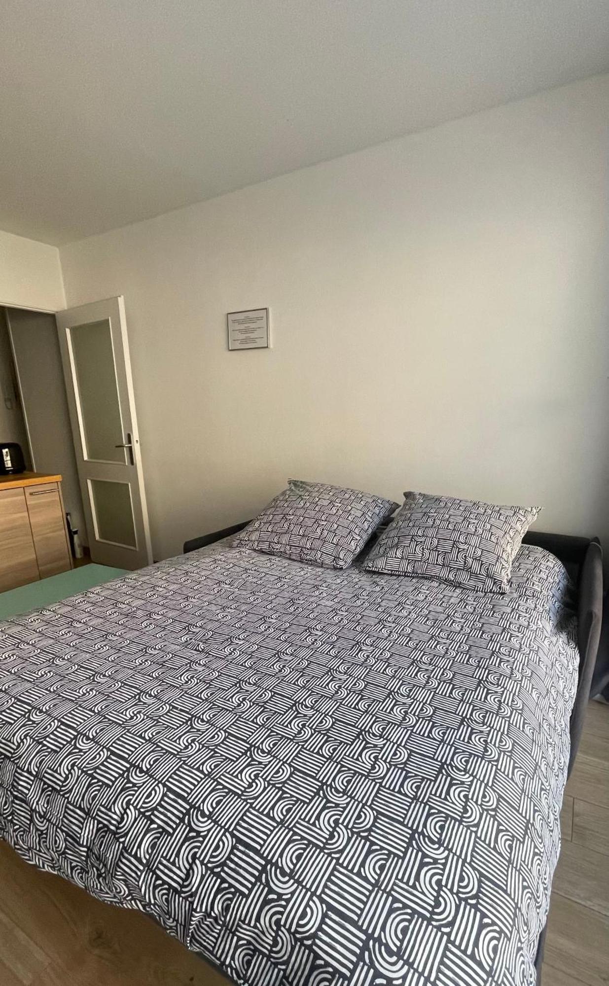 Studio Plein Centre, Calme, Parking Inclus, Piscine Et Gardien Grenoble Ngoại thất bức ảnh